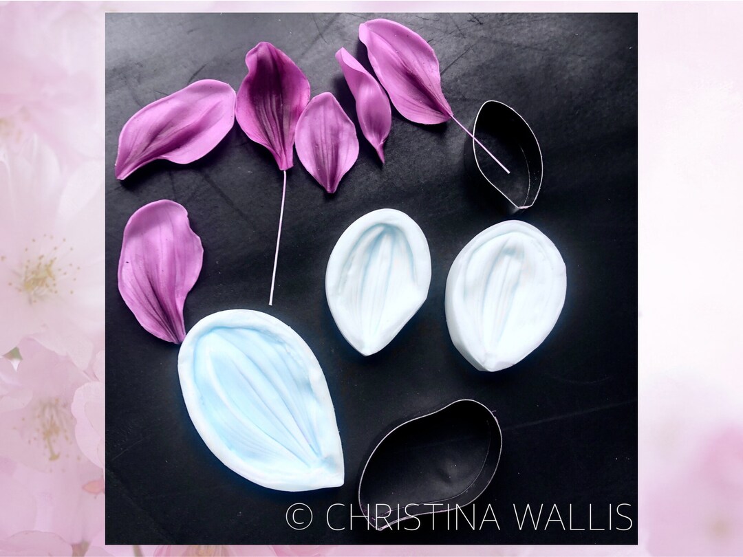 POM POM Dahlia Flower Veiner Mold Set of 3 Botanically Etsy