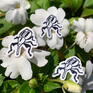 Weevil Sticker Gift Bug Insect Lover Gift