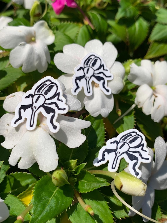 Weevil Sticker Gift Bug Insect Lover Gift