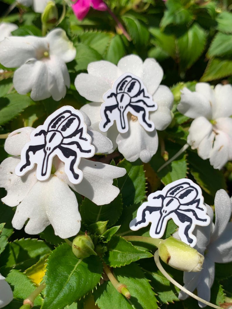 May include: Three white and black insect-shaped stickers are placed on white flowers with green leaves. The stickers have a detailed design of an insect. The background includes more white flowers and green foliage.
