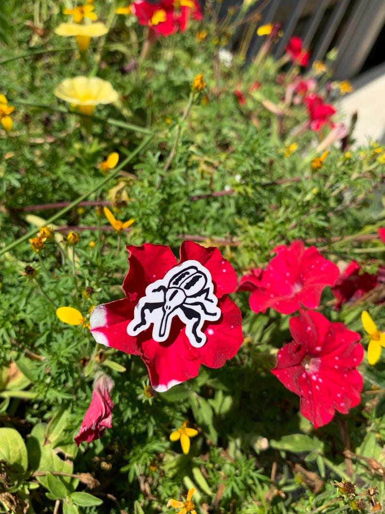 May include: A red flower with a white-edged petal, featuring a black and white insect sticker. The flower is surrounded by green foliage and other yellow and red flowers, creating a vibrant floral scene.