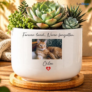 May include: White ceramic planter with a photo of an orange tabby cat named Chloe. The planter is filled with succulents and has the text "Forever loved, Never forgotten" and a red heart paw print.