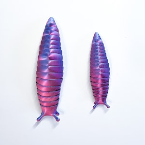 Pink Blue Color Shifting Slug | Slug | 3D print | Desk Toy | Fidget Toy | Color Shifting