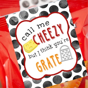 Cheese Snack Gift Tag | Printable Gift Tag | Kids Cheese Cracker Favor Tag | Printable Classroom Tag | School Gift Tag for Students