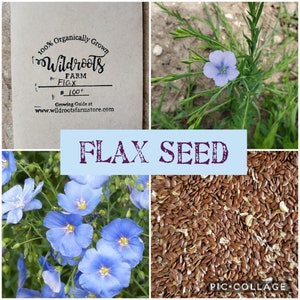 Flax /NON-GMO/100% ORGANIC