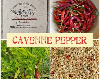 Cayenne Pepper Seeds 100% Organic NON-GMO