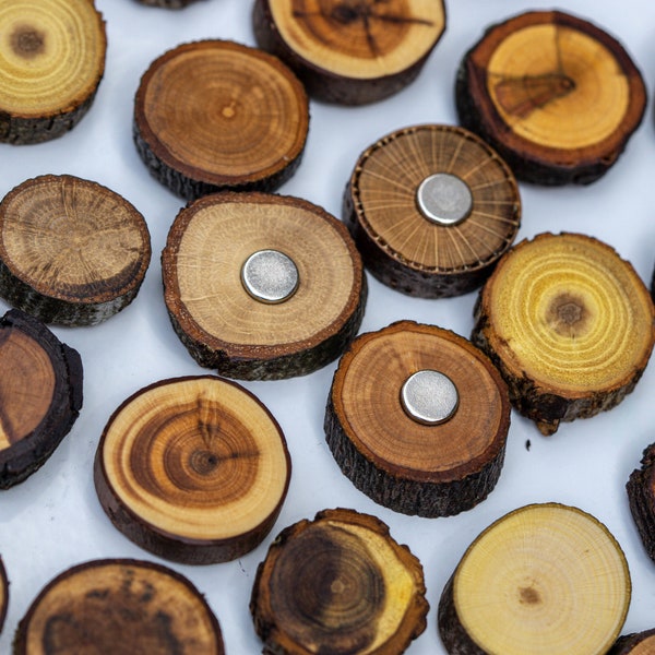 Magnete aus Holz - verschiedene Astscheiben / Kühlschrankmagnete / starke Neodym Magnete für Büro Pinnwand / Holz Dekoration / Foto Magnet