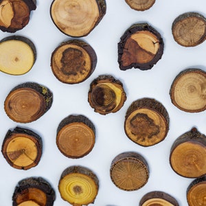 May include: A collection of round wooden slices, each with a unique grain pattern and color variation. The slices are arranged on a white background.