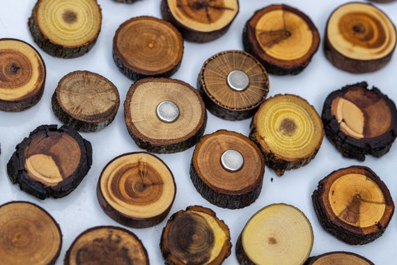 Magnete aus Holz - verschiedene Astscheiben / Kühlschrankmagnete / starke Neodym Magnete für Büro Pinnwand / Holz Dekoration / Foto Magnet