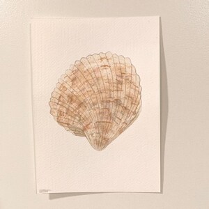 Avila Seashell - 5x7 Original Watercolor