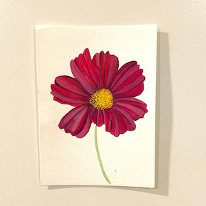Sonata Purple Cosmos - 4x6 Original Watercolor