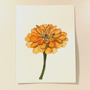 Orange Zinnia - 5x7 Original Watercolor