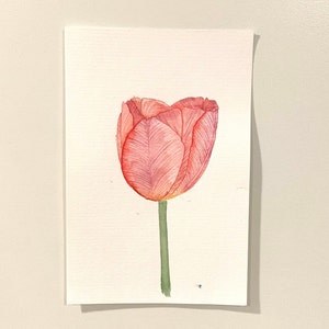 Pink Tulip - 6x9 Original Watercolor