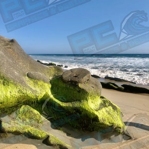 Laguna Beach Mossy Green Ocean Rock Beach Photo High Resolution Digital Download Picture JPG PNG, Color and Black and White Printable.