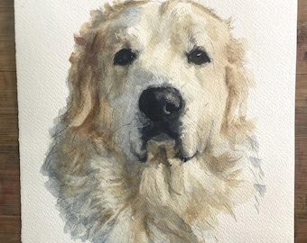 Custom Watercolor Pet Portrait Painting From Photo, Hand-Painted Art of Cats and Dogs