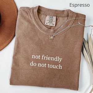 Comfort Colors® Not Friendly Do Not Touch Shirt, Funny Trendy Women Shirt, Sarcastic Shirt, Funny Humor Shirt, Sarcasm Shirt, Introvert Gift