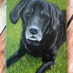 Custom Pet Portrait