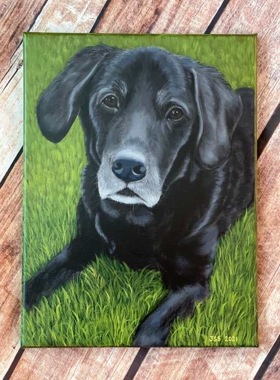 Custom Pet Portrait