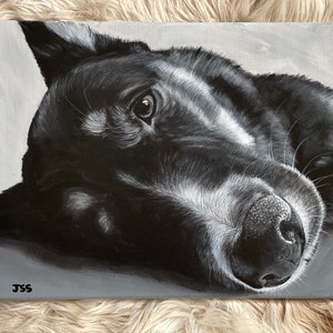 Custom Pet Portrait (B&W only)