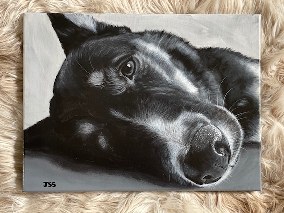 Custom Pet Portrait (B&W only)