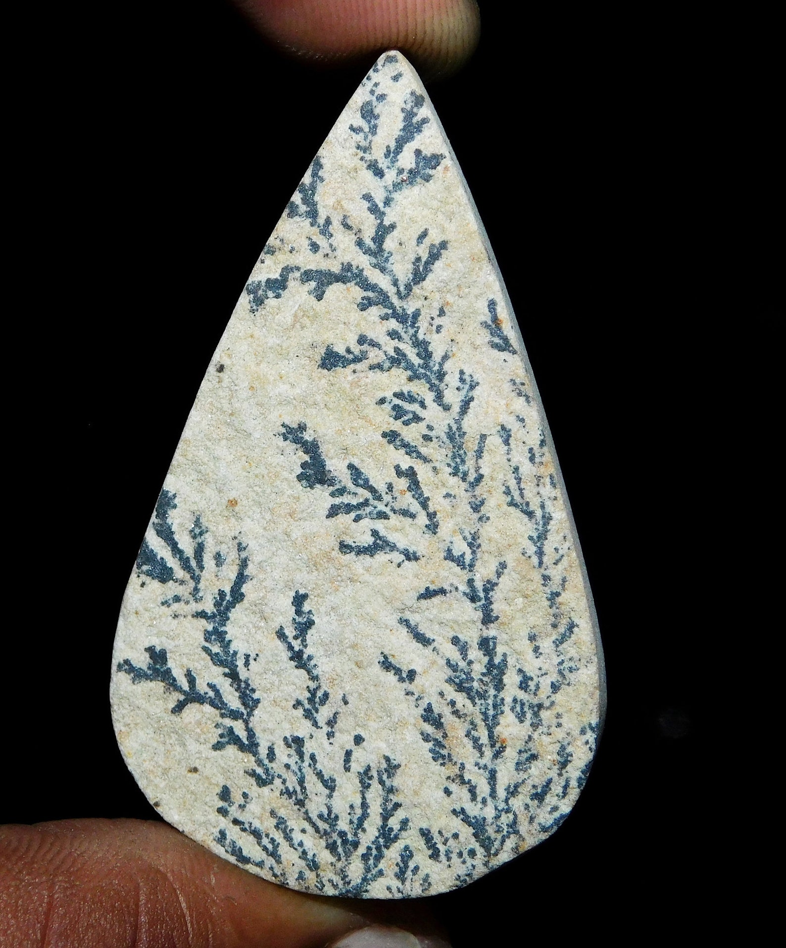 psilomelane dendrite psilomelane dendrite