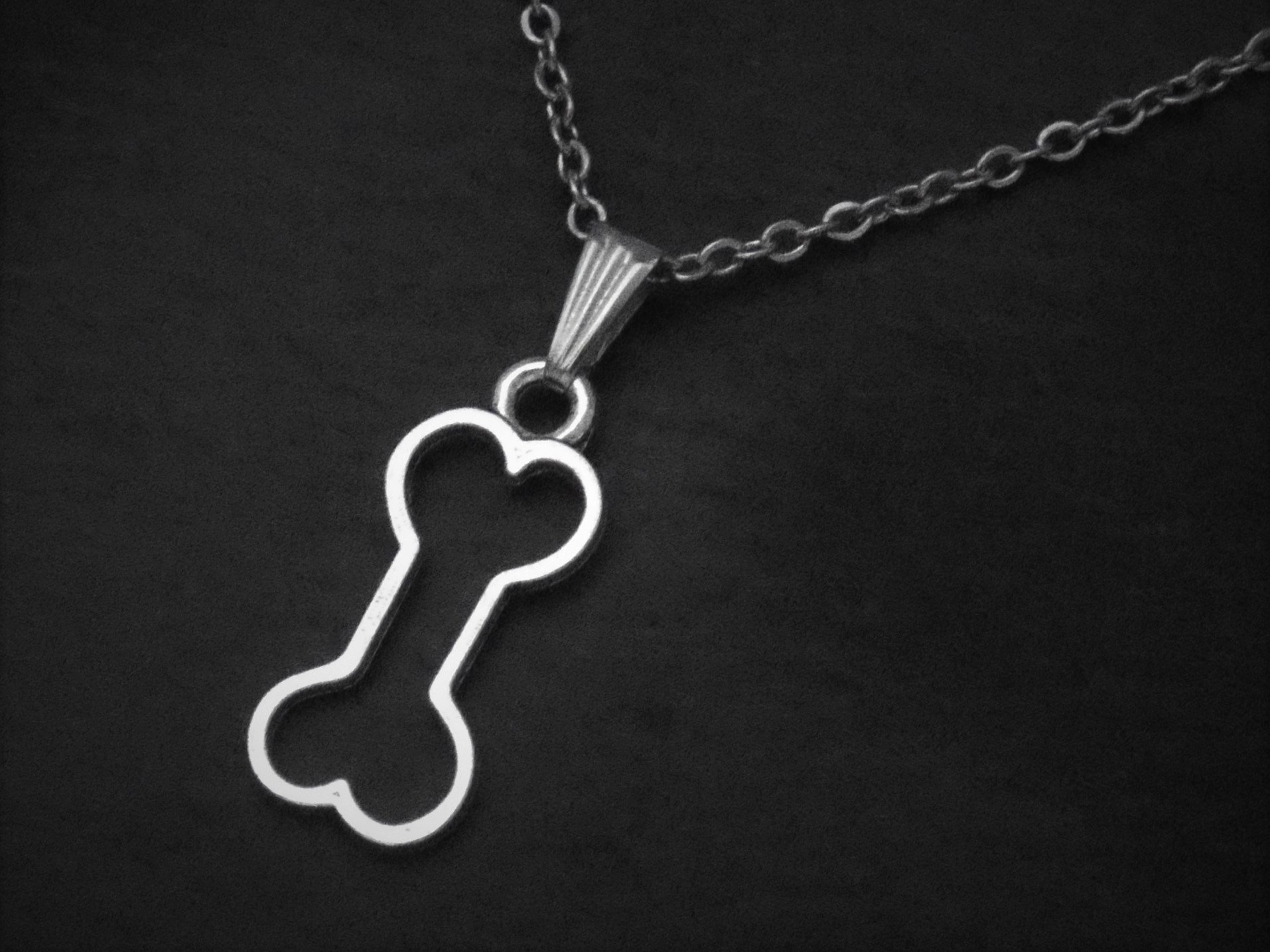 Bone Necklace Cord or Chain Dog Choker 