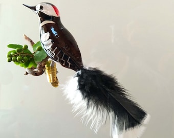 Great spotted woodpecker