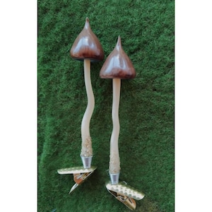 Magic Mushshroom