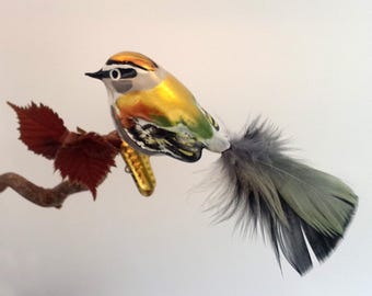 Kinglet
