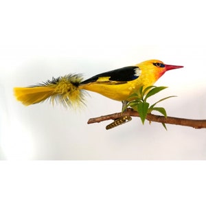12 Piezas Pájaros Artificiales, Pajaros Decorativos Con Plumas, Adornos De  Pájaros Multicolor Pájaros Artificiales, Pajaros Decorativos, Se Utiliza