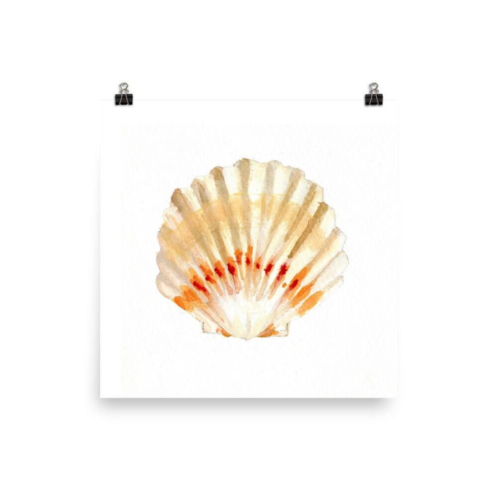 Scallop Shell Poster Scallop Shell Watercolour Print - Etsy