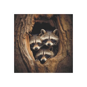 Puede incluir: Tres mapaches se asoman desde un hueco en un tronco de árbol. Los mapaches tienen pelaje gris y marrón con marcas negras alrededor de los ojos. El tronco del árbol es de color marrón cálido con una textura rugosa.