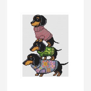 Puede incluir: Imagen pixelada de tres perros salchicha apilados uno encima del otro. Cada perro lleva un suéter de diferentes colores: rosa, verde y azul con un estampado floral. Los perros tienen pelaje negro y marrón.