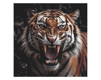 Tijger kruissteek, wilde kruissteek, Bengaalse tijger kruissteek, Bengaals patroon, Bengaalse tijger kruissteek, tijgerpatroon