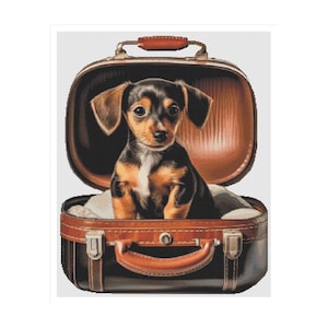 May include: A small, black, brown, and white puppy sits inside an open, vintage-style brown suitcase. The suitcase has a leather handle and clasps. The puppy has large, floppy ears and is looking directly at the viewer.