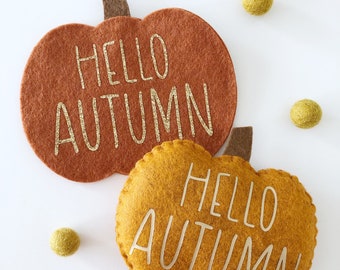Pumpkin decoration. Autumn decoration. Halloween decorations.