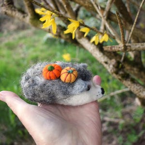 Hedgehog Felted Hedgehog Decor Cushion of needles in the shape of a hedgehog Gift idea for seamstress.