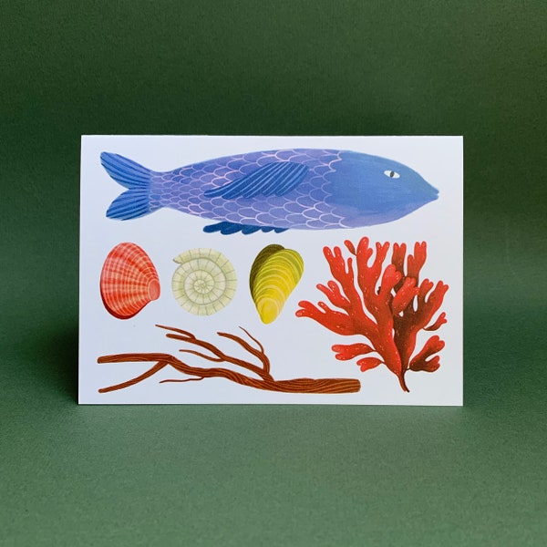 A6 Beach finds greetings card, Birthday Card, Shells, Fish, Coral, seaside, Summery, Colourful, Sea Creatures