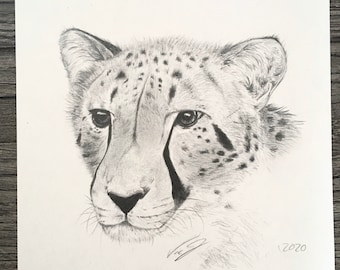 Cheetah pencil drawing