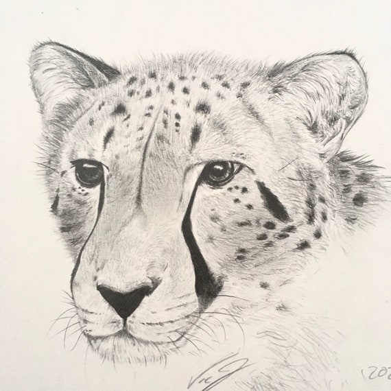 Black And White Illustration Of A Realistic Cheetah Running Stock  Illustration - Download Image Now - iStock