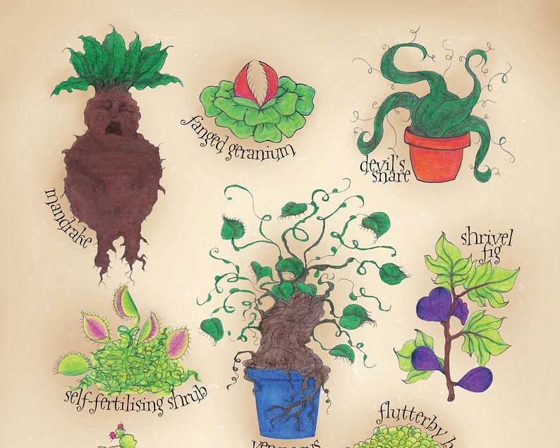 Magical plants Poster Mandrake print Harry Potter Etsy