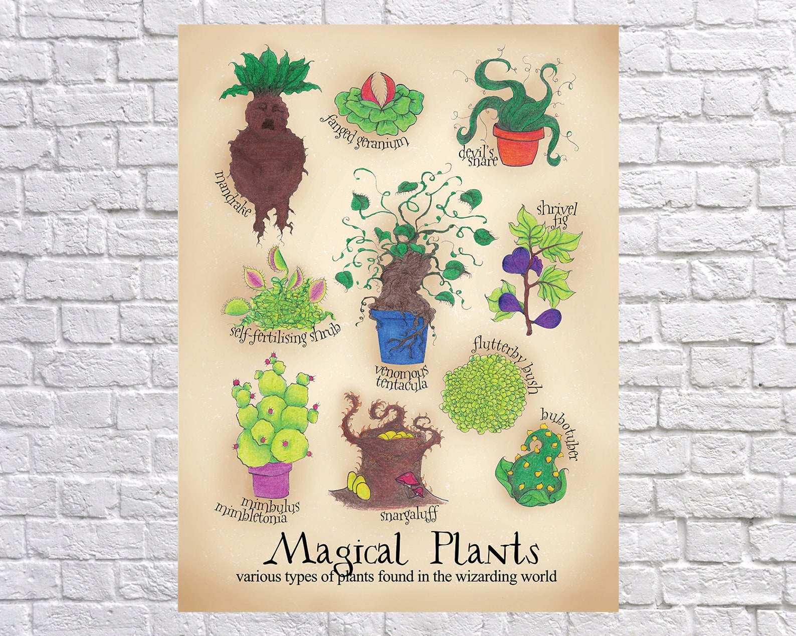 Magical plants Poster Mandrake print Harry Potter Etsy