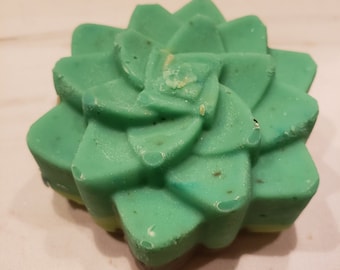 Lush Succulent Soaps