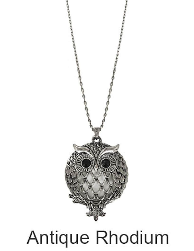 Peut inclure: Collier avec pendentif hibou en argent avec des yeux noirs. Le collier a une cha&icirc;ne d&eacute;licate et une finition en rhodium antique.