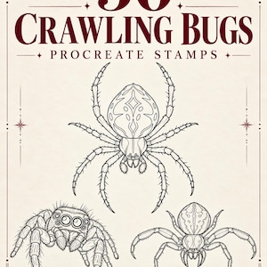 Può includere: Una grafica digitale con il testo 50 CRAWLING BUGS PROCREATE STAMPS e TattooMack. Sotto il testo ci sono tre illustrazioni a linee bianche e nere di ragni su uno sfondo color crema, etichettate come FINELINE LINES ONLY.