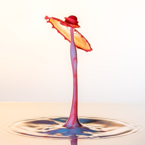 Fotografía de bellas artes, Gota de agua, Fotografía, Impresiones fotográficas, Impresiones de bellas artes, Bellas artes, Regalos de fotografía, Impresiones de pared, Arte de pared roja