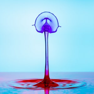Fine art photography | Water drop Photography | Photography | Photo print | Fine art prints | Fine art | Wall art | Blue wall art | Fames