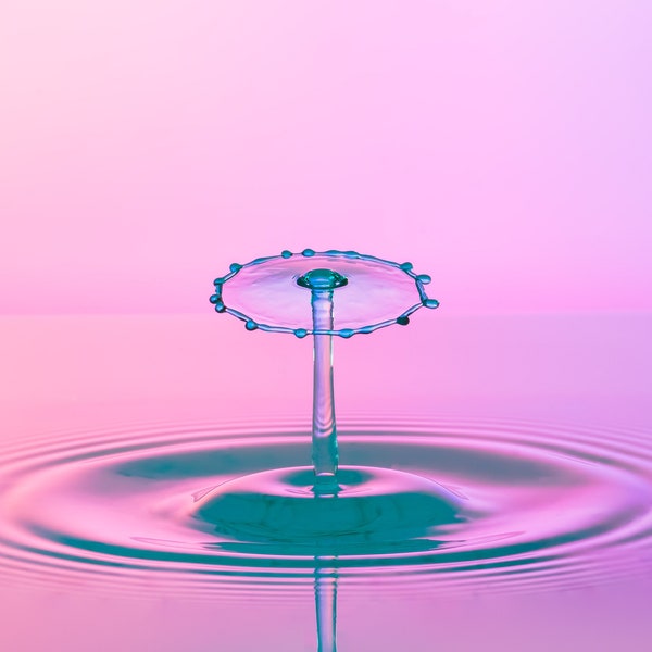 Fotografía de bellas artes, Water drop Photography, Fotografía, Impresión fotográfica, Impresiones de bellas artes, Bellas artes, Arte de pared rosa, Arte de 17x22, famas, impresiones