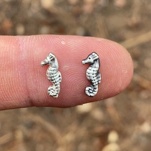 Tiny Seahorse Casting