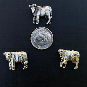 Cow Casting
